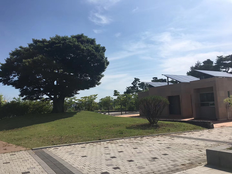 太陽能控制器的負載端可以接什么類型的負載？